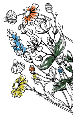 Vegetation