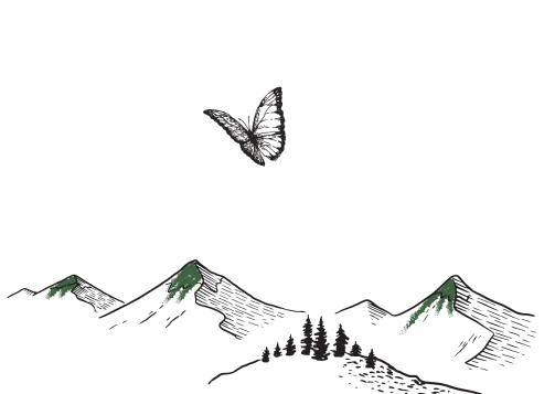 mountains with butterfly